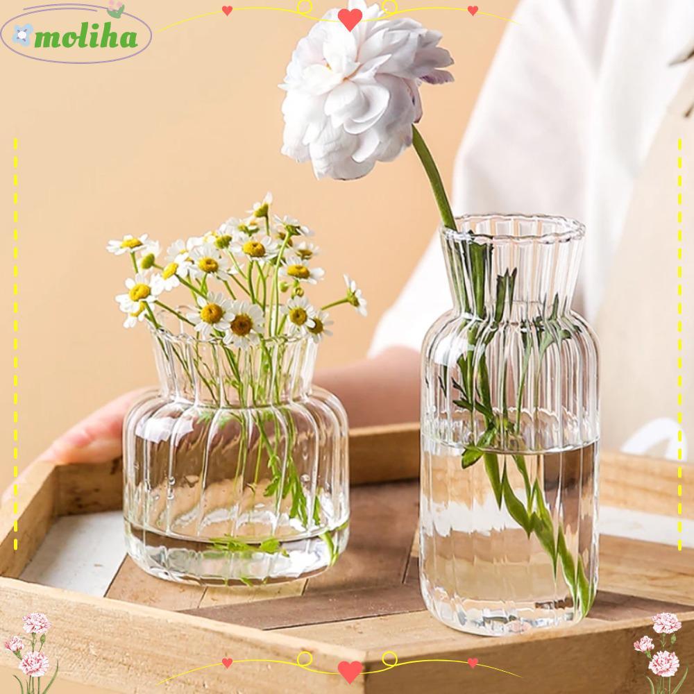 Moliha แจกันแก้วใส สําหรับใส่ต้นไม้ สวนขวด