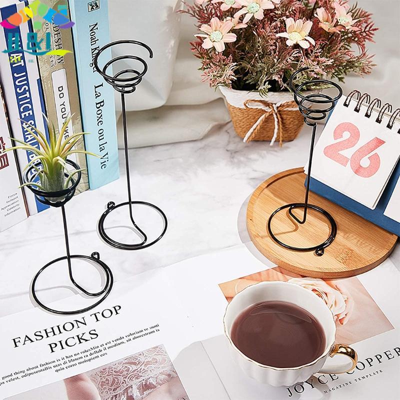 H&L Air Plant Holder 3Size Container Flower Stand Displaying Home Desktop Decoration {th}