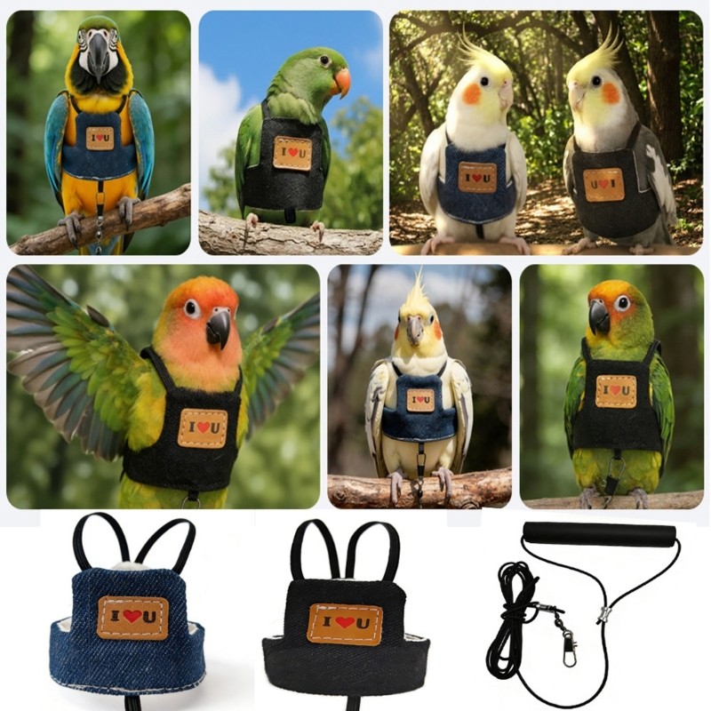 Sup Small Bird เครื่องแต่งกายชุดเที่ยวบินพร้อมสายจูงแฟชั่นสายรัดการฝึกอบรมเสื้อกั๊กสําหรับนกแก้วนิทรรศการและเดิน Essential