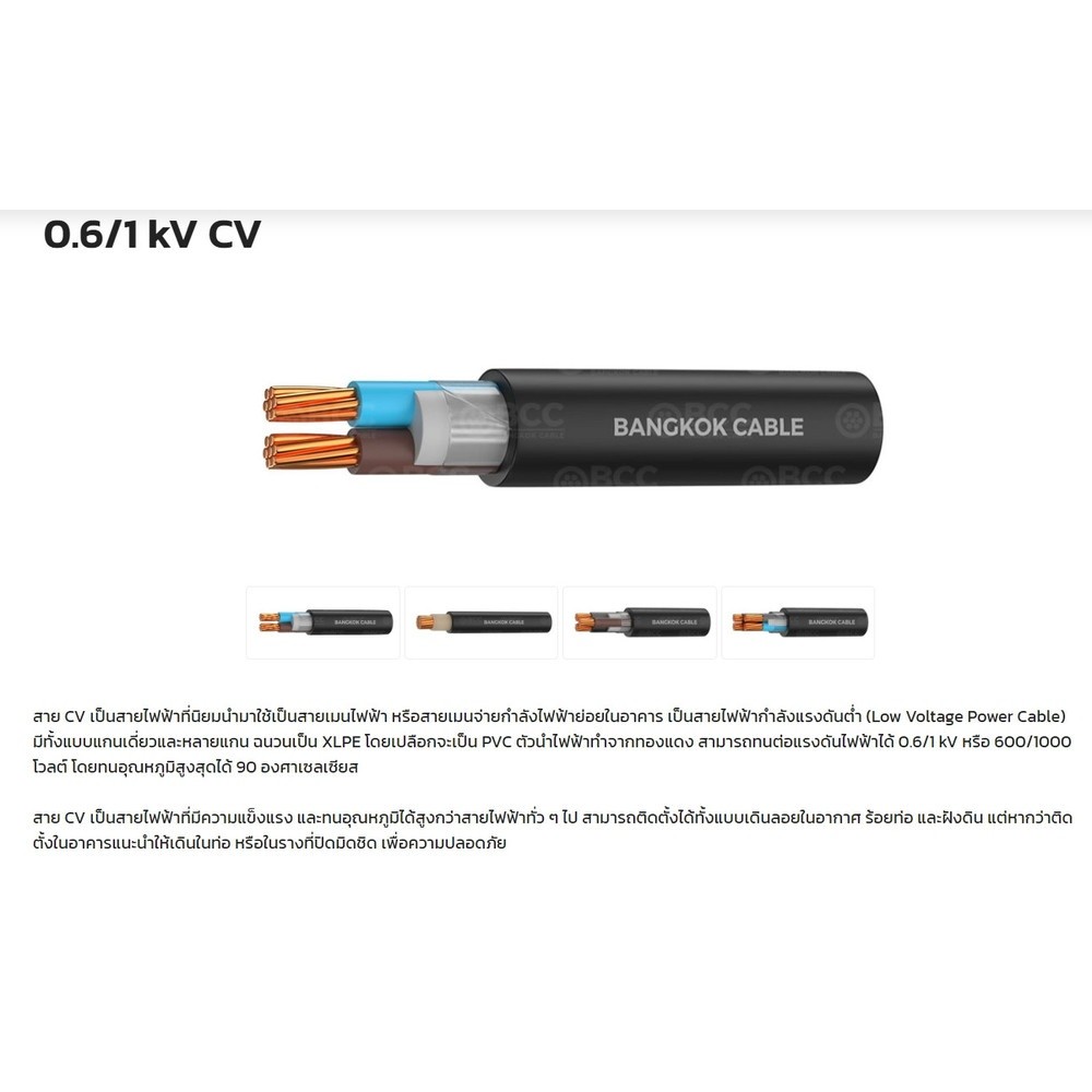 BCC สายไฟ kV CV 2x2.5 ตร.มม. 100 m. สีดำ