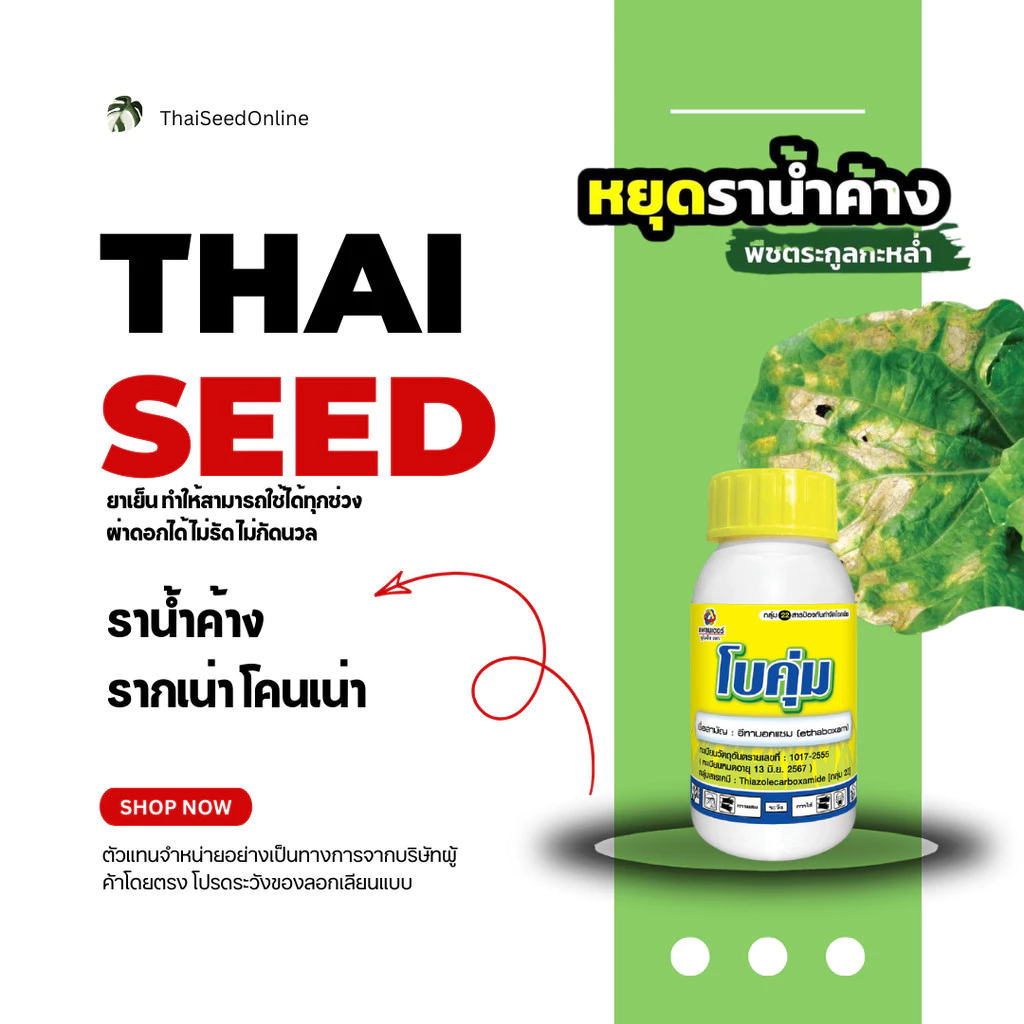 PTU โบคุ่ม อีทาบ็อกแซม 100ซีซี Ethaboxam บริษัท แพลนเตอร์ ยูไนเต็ด จำกัด กำจัดราน้ำค้าง
