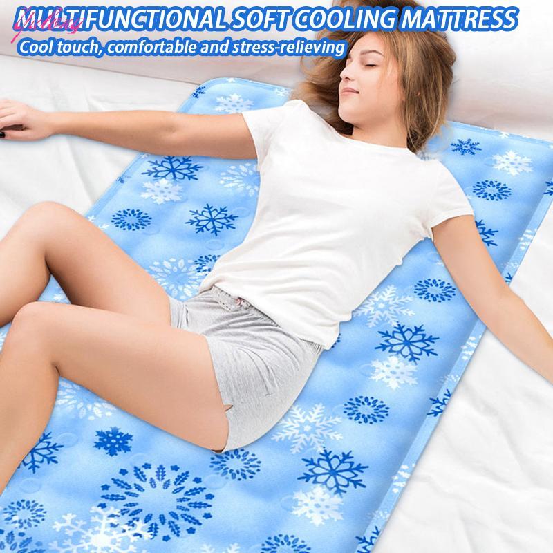 [Yulong] เสื่อน้ําแข็งสําหรับสัตว์เลี้ยงแผ่นทําความเย็นฤดูร้อนสําหรับใช้ครั้งเดียวเบาะน้ําแข็งนุ่มเย