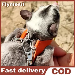 Flymesit 4 ชิ้นสัตว์เลี้ยงขนาดเล็กสายรัดหน้าอกหนูแฮมสเตอร์กระรอก Leash Anti Bite Traction เชือก Sugar Glider Windproof พิเศษ Anti Lost เชือก EN
