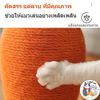 ที่ลับเล็บแครอท ลับเล็บแมว ของเล่นแมว หวายแมว โครงปีนแมว ฝนเล็บแมว อุปกรณ์แมว cat condo แมว ราคาถูก