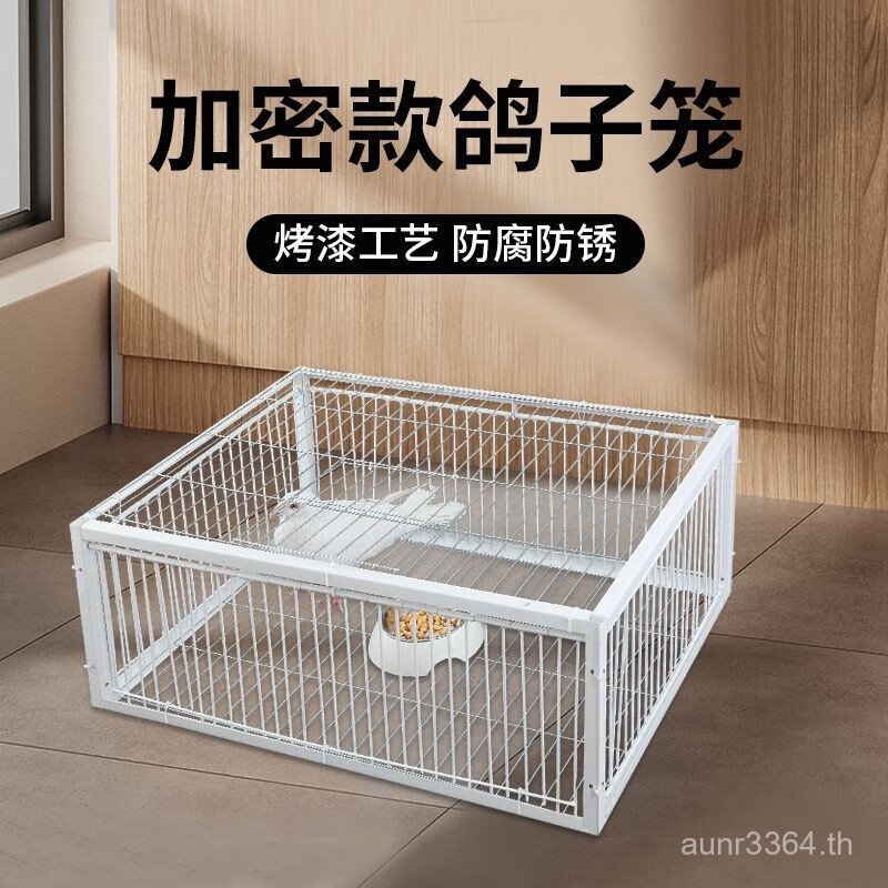 Pigeon Utensils Pigeon Door Utensils Pigeons Simon อุปกรณ์นกพิราบประตูหนา ZALM
