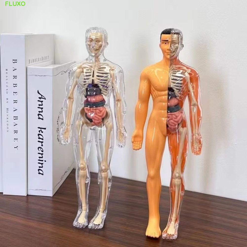 FLUXO 3d ลําตัวมนุษย์รุ่น,โปร่งใส DIY หุ่นวิทยาศาสตร์ความรู้ความเข้าใจปริศนาของเล่น,ออร์แกนประกอบรุ่น Montessori ก่อสร้างพลาสติกเด็กโครงกระดูกรุ่น Early Learning