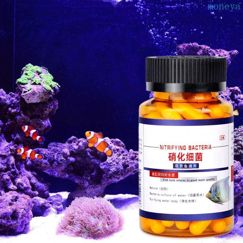 Mya Nitrifying สําหรับพิพิธภัณฑ์สัตว์น้ําน้ําจืดและน้ําเค็ม Decompose Feces