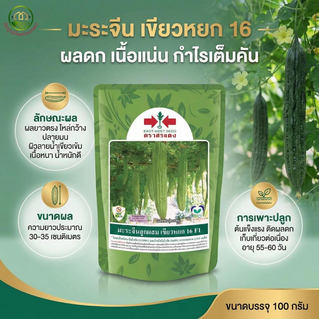 มะระจีนลูกผสม เขียวหยก 16 F1 เมล็ดพันธุ์ มะระจีน ตราศรแดง บรรจุ 100 กรัม – โปรปัง