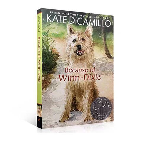 Paper Books เพราะชนะ Dixie