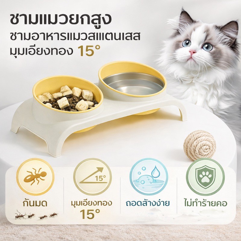 COD ชามแมว ชามอาหารแมวสแตนเลส มุมเอียงทอง 15° ชามแมวยกสูง ชามคู่ กันมด PP ถอดออกได้ ไม่ทำร้ายคอ กันลื่น ทำความสะอาดง่าย