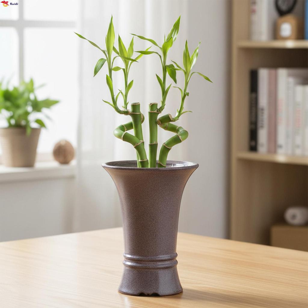 แจกันทรายสําหรับพืชไฮโดรโปนิกส์ทนทานและระบายอากาศได้เหมาะสําหรับตกแต่งบ้าน Lily Pothos