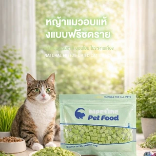 😺หญ้าแมวฟรีซดราย 100g ช่วยขับก้อนขน บำรุงระบบย่อย อาหารเสริมแมวธรรมชาติ