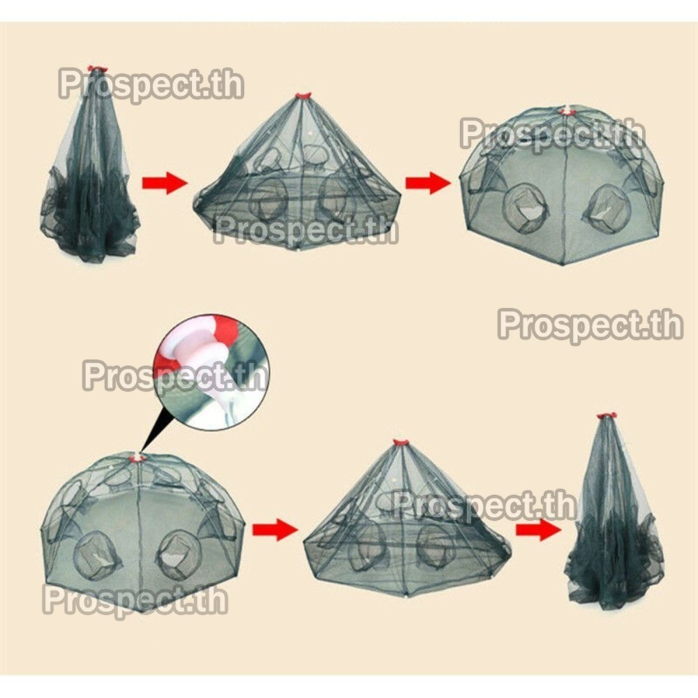 10ช่อง ตาตกกระชังปลา มุ้งดักปลา 4 6 8 10 ช่อง ตาข่ายดักปลา กระชังปลา ที่ดักปลา ที่ดักกุ้ง พับเก็บได้ ร้านไทย - รูปที่ 6