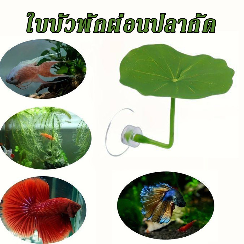 COD การตกแต่งตู้ปลา ใบไม้ปลอม ที่นอนใบไม้สําหรับปลากัด นอนเล่น พักผ่อน จําลองใบบัว วางไข่ ทำให้ตู้ปลาสวยขึ้น