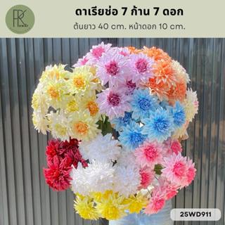 ดาเรียช่อ 7 ก้าน 7 ดอก ต้นยาว 40 cm. หน้าดอก 10 cm.