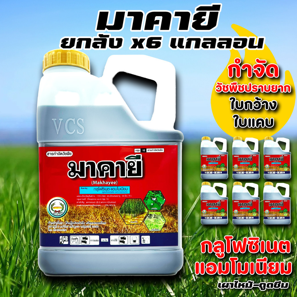 (โปร) มาคายี (ยกลัง x6แกลลอน) กลูโฟซิเนต แอมโมเนียม กำจัดวัชพืช หญ้า ขนาด 4ลิตร รูปที่ 6