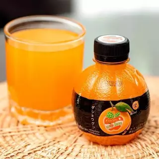 เดอะโชกุน น้ำผลไม้ ยกลัง 48 ขวด (220 ml.) น้ำส้ม น้ำลิ้นจี่ สตรอเบอร์รี่ องุ่น สัปปะรด เลม่อน