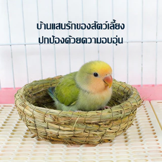 บ้านนก รังนกทำจากหญ้า บ้านหญ้านก บ้านกะลา บ้านนกแก้ว บ้านกระรอก กะลาธรรมชาติ รังนอน ทำจากหญ้าธรรมชาติ