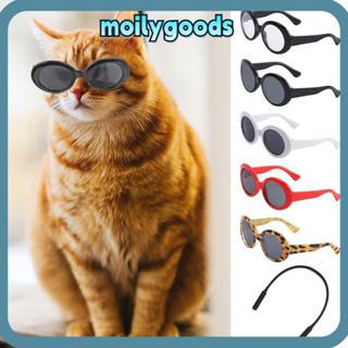 โมลิลี่เอชดี แมวแว่นตาเย็นตุ๊กตาอุปกรณ์เสริมถ่ายภาพอุปกรณ์ปร…