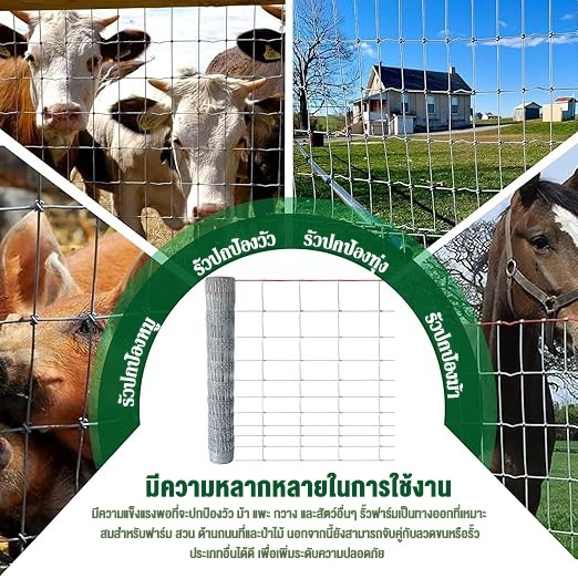 รั้วถักปม รั้วตาข่ายถักปม ล้อมคอก ยาว30-50เมตร สูง0.9/1.2/1.5เมตร เหล็กล้อมรั้ว กันสนิม ทนทาน ราคา ถูกที่สุด ดีลบีเคเค แกลเลอรีภาพที่ 5