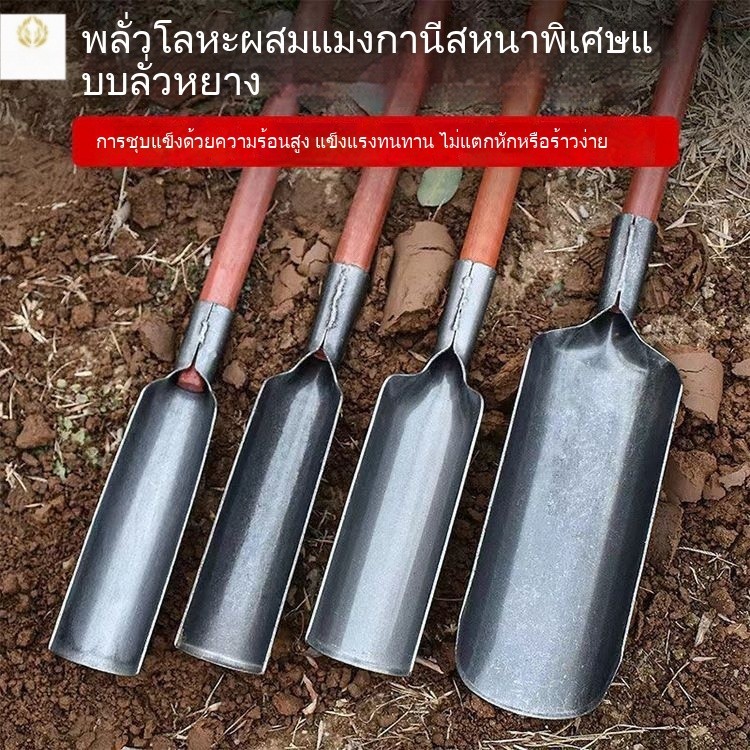 พลั่วลั่วหยาง เครื่องมือเกษตรสำหรับขุดหลุม