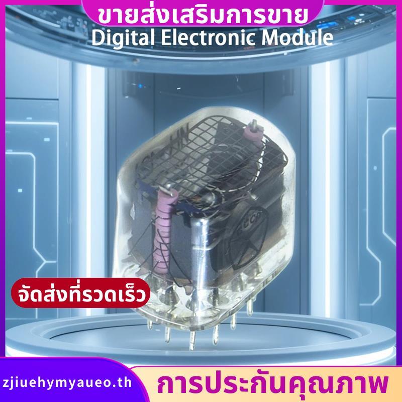 In-12 IN12 Glow Tube Decimal Point Digital Tube Glow Tubes Symbol Tube Glow Clock Nixie Digital LED 