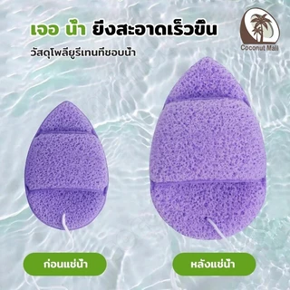ฟองน้ำขัดหน้าทำความสะอาดใบหน้า จับถนัดมือ เนื้อนิ่ม