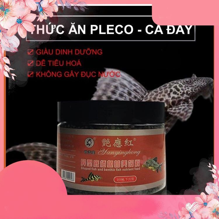 Hajiebao Special Nutritional Food - สําหรับ Pleco & Other Groundfish .น้ํา