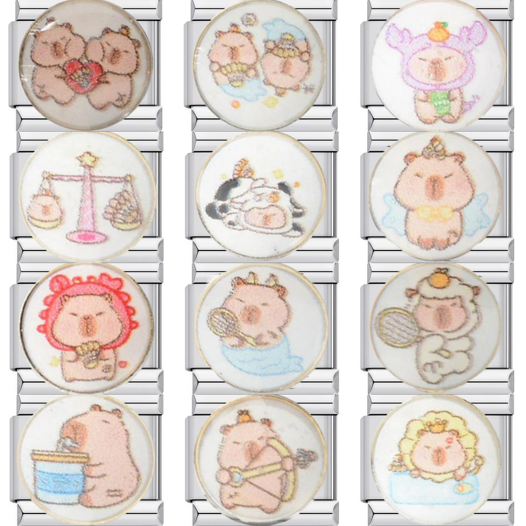 ยอดนิยมราศีคาปิบาระกลุ่มดาวอิตาลีเสน่ห์สร้อยข้อมือลิงค์พอดี9มิลลิเมตรสร้อยข้อมือสแตนเลส ทําเอง เครื่องประดับทํา