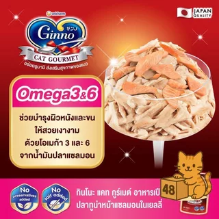 (ยกลัง 48 ซอง) Ginno Premium Wet Cat Food กินโนะ อาหารเปียกแมว ไม่เติมเกลือ เปียกแมว ขนาด 60g