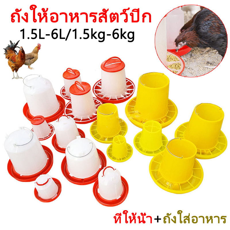 ถังอาหารขวดน้ำไก่ ขวดน้ำไก่ ถ้วยให้น้ำไก่ ถ้วยให้อาหารไก่ ถังใส่น้ำไก่ ถังอาหารนก 1.5L-6L/1.5KG-6KG 4 ขนาด