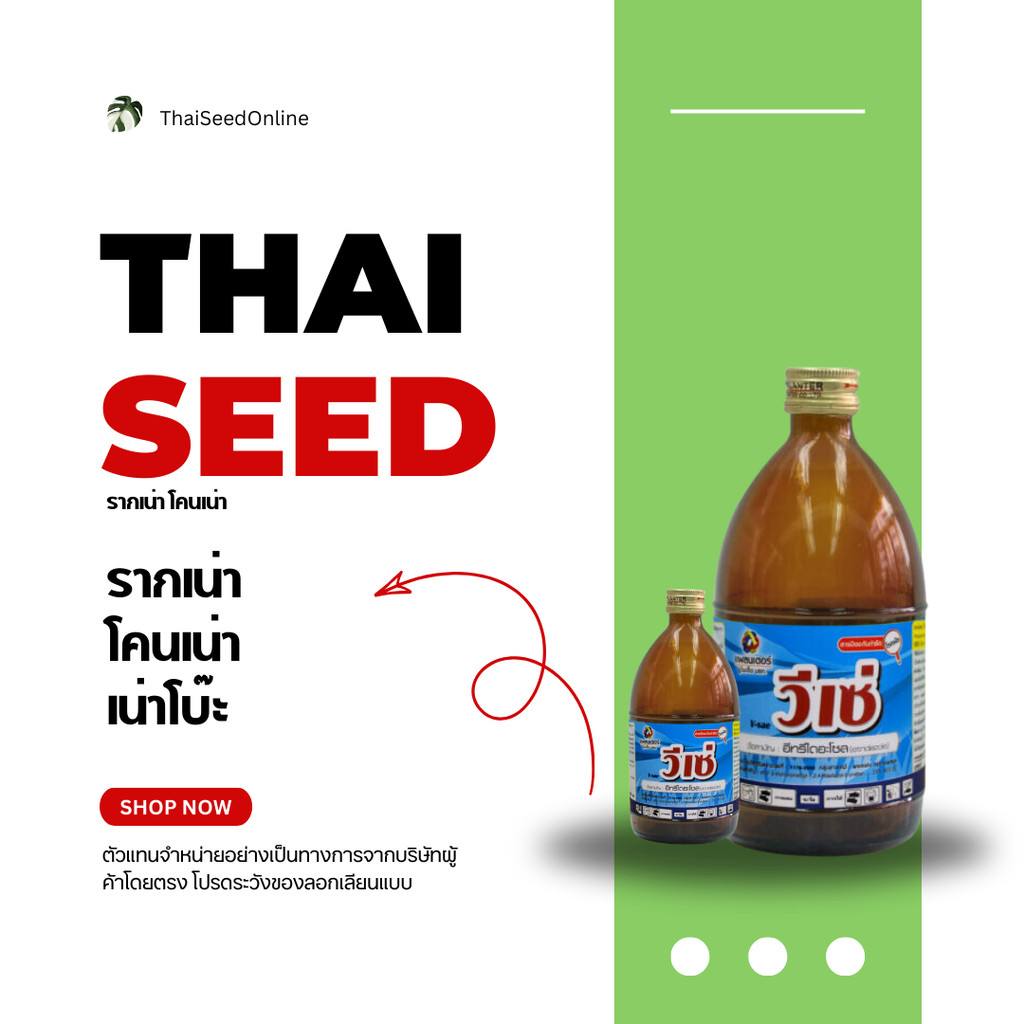 PTU วีเซ่ ขวดเล็ก 100ซีซี อีทริไดอะโซล รักษาโรคราทางดินทุกชนิด บริษัท แพลนเตอร์ ยูไนเต็ด