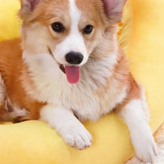 Mango ที่นอนแมว ที่นอนสุนัข ที่นอนกล้วย ที่นอนสัตว์เลี้ยง สุนัข หมา แมว เบาะแมว เบาะหมา เบาะกล้วย ซักทําความสะอาดได้