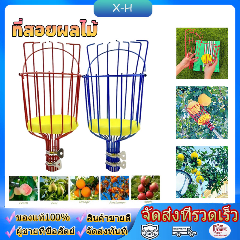 ที่สอยผลไม้ ที่สอยมะม่วง fruit picker ตะกร้อสอยผลไม้