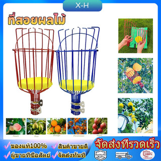 ที่สอยผลไม้ ที่สอยมะม่วง fruit picker ตะกร้อสอยผลไม้