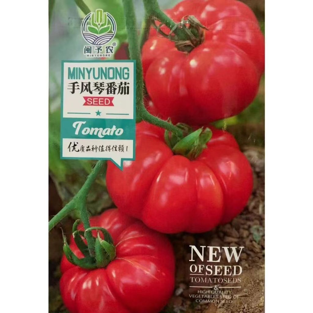 现货热卖手风琴番茄种子潮汕马蹄番茄种子室内耐寒番茄种子大全好吃Accordion Tomato Seeds Chaoshan Horseshoe Tomato Seeds20260322