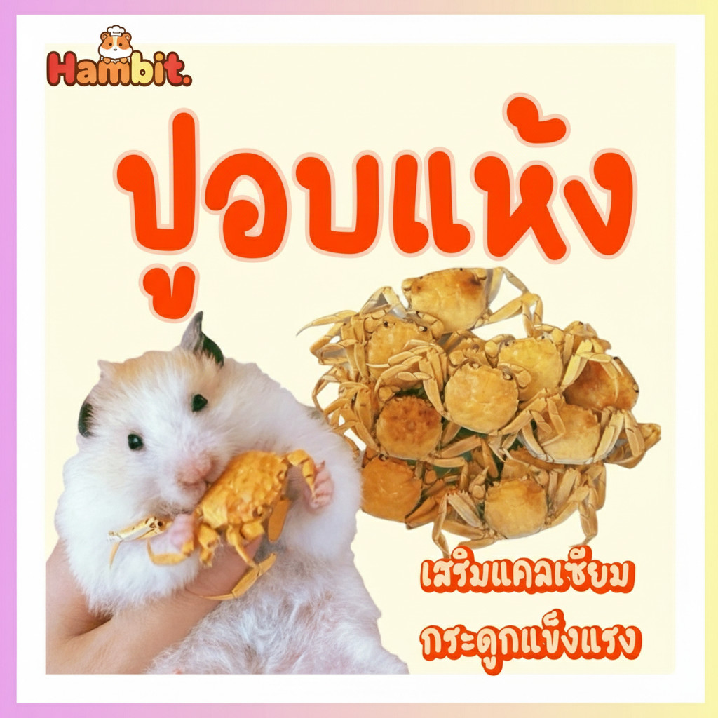 Hambit. ปูอบแห้ง เสริมแคลเซียม สำหรับสัตว์ฟันแทะ