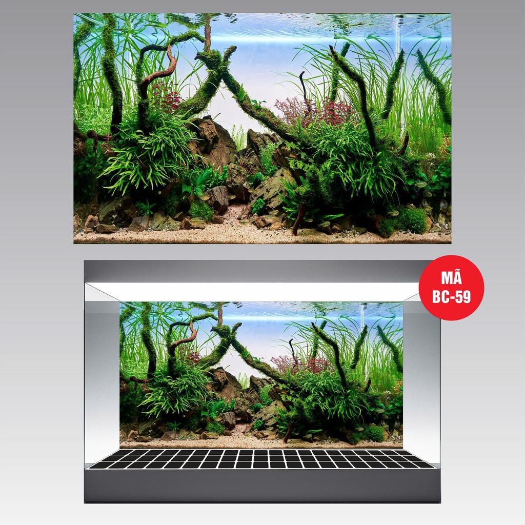 (BC59) 3D FISH POOL PAINTING (BACK PAINTING) _DECAL VIP_MT 59