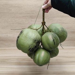 Realistic Coconuts Fruit Vegetable Model Photography Props Durable ABS Materials