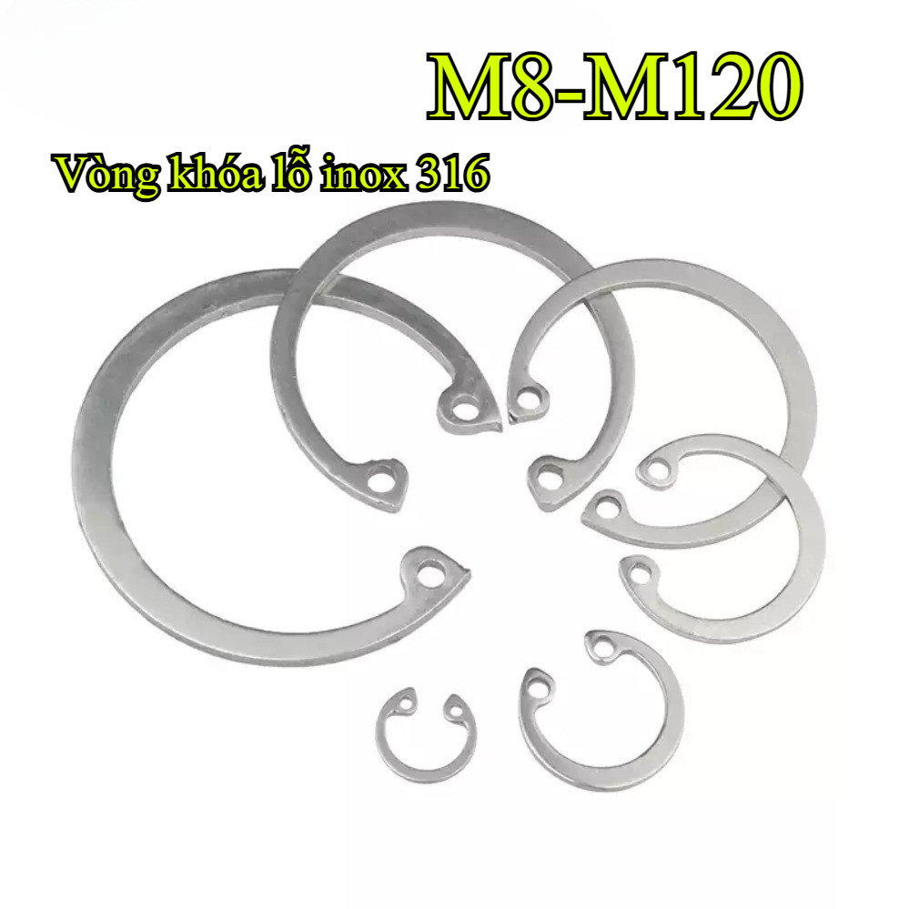 แหวนยึดสําหรับรูสแตนเลส 316 M8-M120 (HJX-VN)