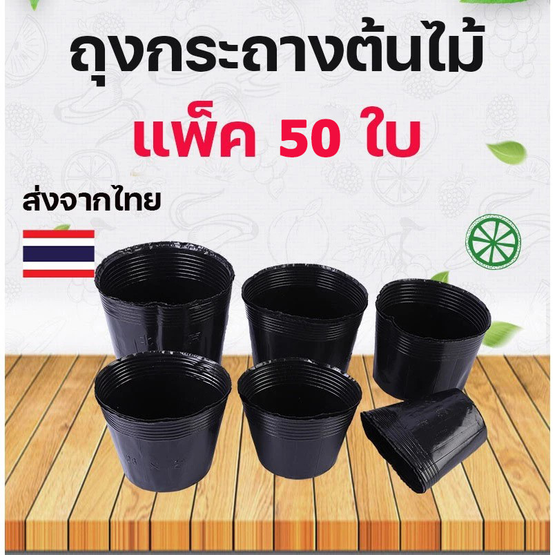 ถุงเพาะต้นกล้า ถุงปลูกต้นไม้ ถุงเพาะชำสีดำ เจาะรูระบายน้ำ แพ็ค 50 ใบ เหมาะกับไม้ดอก ไม้ผล ผักสวนครัว