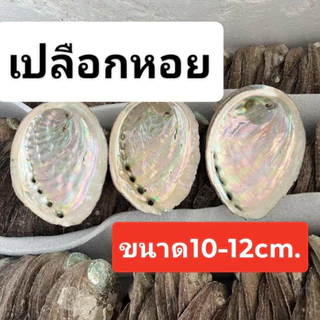 ล้างพลังงานลบ ไพ่ยิปซี หิน จักระออร่า White sage ขนาด 4 นิ้ว ชุดเซจ