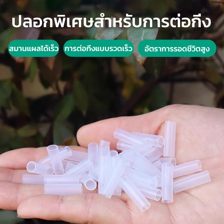 เครื่องมือต่อกิ่ง/อุปกรณ์สวนชนิดท่อ/ใช้งานเร็วทำสำเนาง่าย สำหรับพืชประดับ/แตงโม/กุหลาบ ความสำเร็จสูง/ชาวสวนมือใหม่ผู้ชายผู้หญิง/กระถางและแปลงดอกไม้