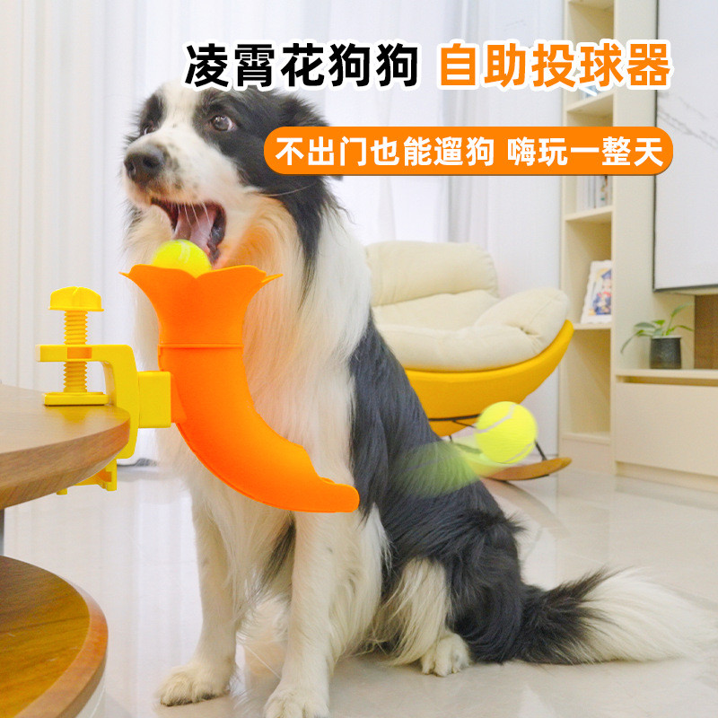 Pet Toy Dog Self-service Pitching Ball Thrower Dog Ball Toy Walking Dog at Home to relieve boredom a