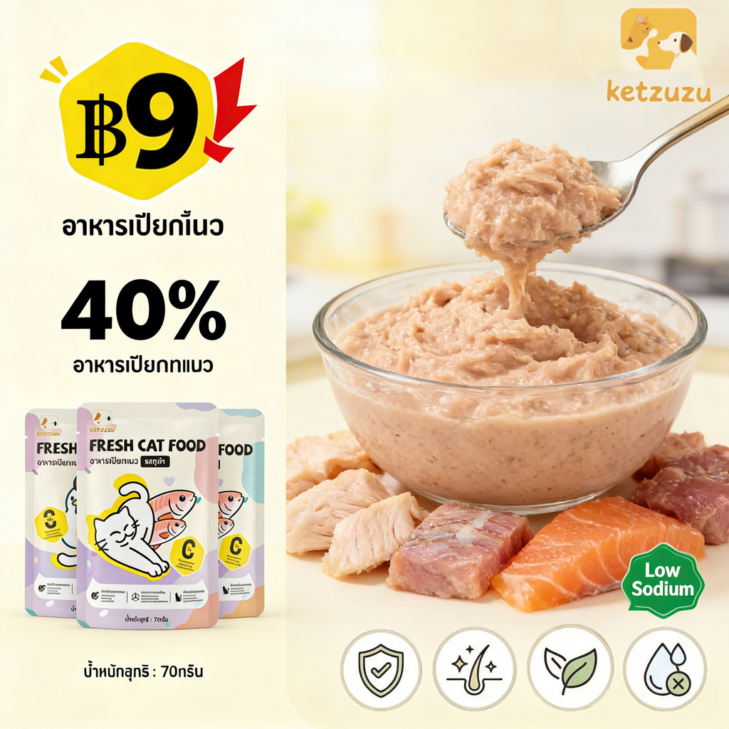 Ketzuzu อาหารเปียกสำหรับแมว 3 เดือนขึ้นไป ขนาด 70g อาหารแมวซอง พกพาสะดวก เปิดทานง่าย