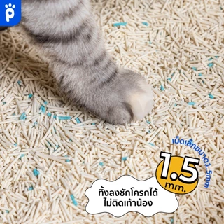(ส่งด่าวน) My Paws ทรายแมวเต้าหู้ 24 ลิตร Natural Tofu Cat litter เกรดพรีเมียม ฝุ่นน้อย จับตัวไว ละลายน้ำดี