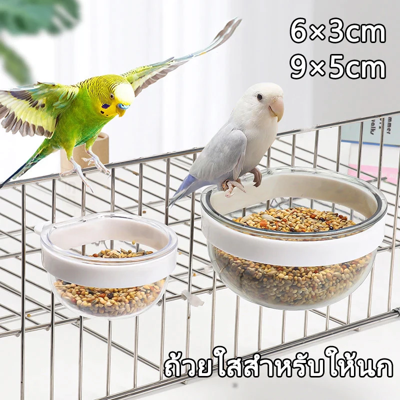 ถ้วยอาหารและน้ำนกแก้ว เหมาะสำหรับนกแก้วขนาดเล็ก ถ้วยใสใส่อาหารนกมีสองขนาดคือ 6 ซม. และ 9 ซม.