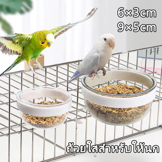 ถ้วยอาหารและน้ำนกแก้ว เหมาะสำหรับนกแก้วขนาดเล็ก ถ้วยใสใส่อาหารนกมีสองขนาดคือ 6 ซม. และ 9 ซม.