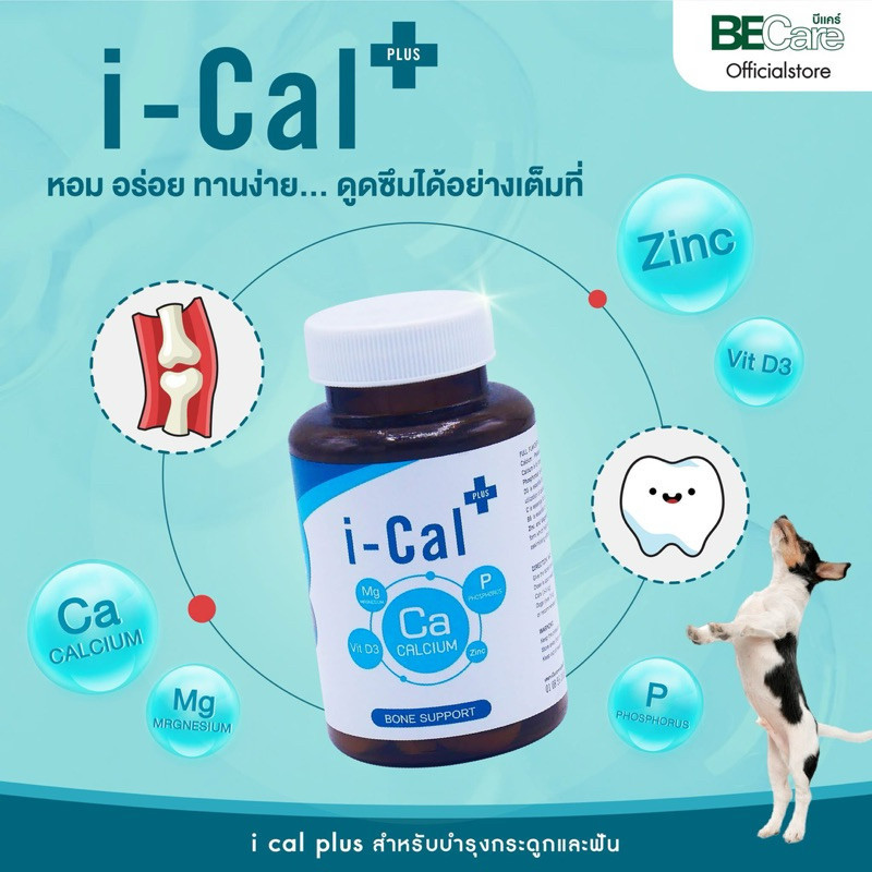 I-cal plus แคลเซียม i cal plus สำหรับสุนัขและแมว มี 2 ขนาด