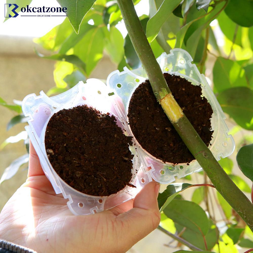 OKCATZONE พืช Rooting อุปกรณ์ Air Layering Propagation Ball Reusable Root Growing กล่อง Secure ล็อค 
